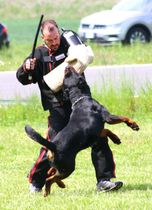 gekört bis 19.05.2021